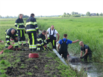 Prio 2 Dier te Water Paard Dykhuzen Gerkesklooster